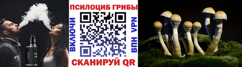 Галлюциногенные грибы GOLDEN TEACHER  где можно купить   Никольское 